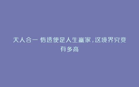 天人合一：悟透便是人生赢家，这境界究竟有多高？