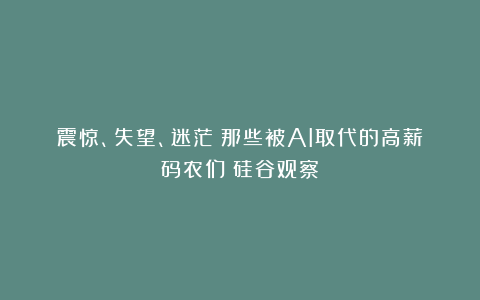 震惊、失望、迷茫：那些被AI取代的高薪码农们｜硅谷观察