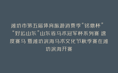 潍坊市第五届体育旅游消费季“铭鼎杯” “好运山东”山东省马术冠军杯系列赛(速度赛马)暨潍坊滨海马术文化节秋季赛在潍坊滨海开赛