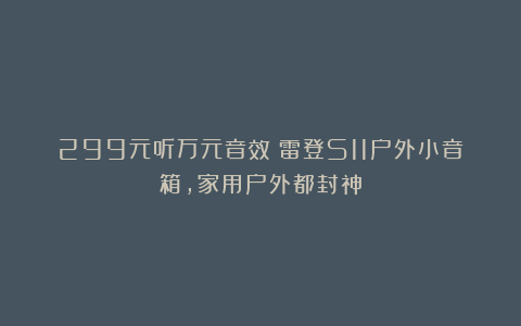 299元听万元音效？雷登S11户外小音箱，家用户外都封神