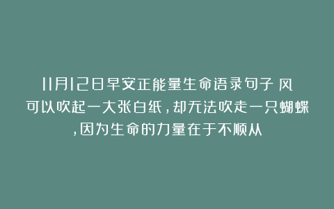 11月12日早安正能量生命语录句子：风可以吹起一大张白纸，却无法吹走一只蝴蝶，因为生命的力量在于不顺从！
