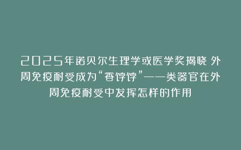 2025年诺贝尔生理学或医学奖揭晓！外周免疫耐受成为“香饽饽”——类器官在外周免疫耐受中发挥怎样的作用？