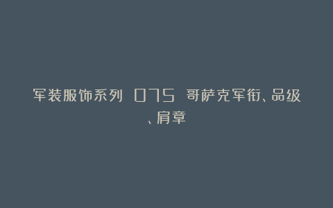 军装服饰系列 075 哥萨克军衔、品级、肩章