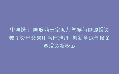 中阿携手：阿联酋王室助力气候与能源投资数字资产交易所落户迪拜 创新全球气候金融投资新模式