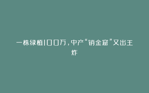 一株绿植100万,中产“销金窟”又出王炸?