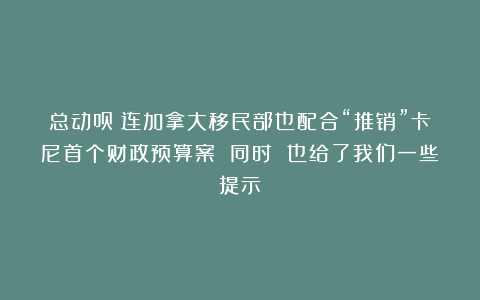 总动员！连加拿大移民部也配合“推销”卡尼首个财政预算案 同时 也给了我们一些提示！