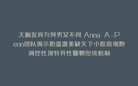 大脑发育为何男女不同？Anna A.Penn团队揭示胎盘激素缺失下小胶质细胞调控性别特异性髓鞘形成机制