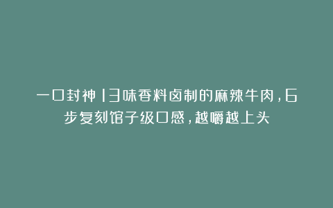 一口封神!13味香料卤制的麻辣牛肉,6步复刻馆子级口感,越嚼越上头
