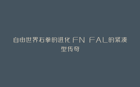 自由世界右拳的进化：FN FAL的紧凑型传奇
