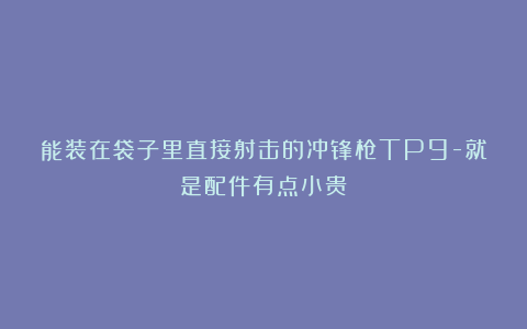 能装在袋子里直接射击的冲锋枪TP9-就是配件有点小贵！