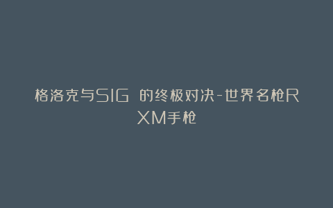 格洛克与SIG 的终极对决-世界名枪RXM手枪