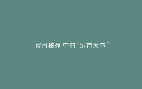 《灵台秘苑》中的“东方天书”