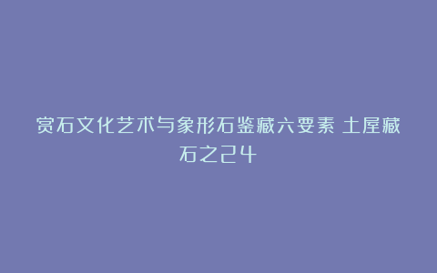 赏石文化艺术与象形石鉴藏六要素（土屋藏石之24）