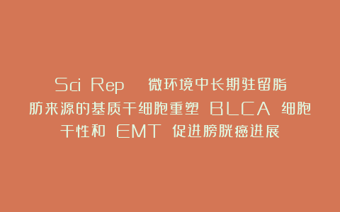 Sci Rep | 微环境中长期驻留脂肪来源的基质干细胞重塑 BLCA 细胞干性和 EMT 促进膀胱癌进展