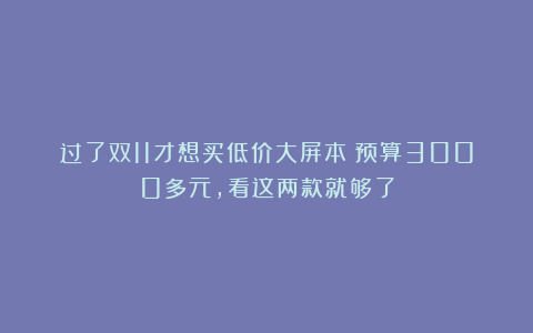 过了双11才想买低价大屏本？预算3000多元，看这两款就够了