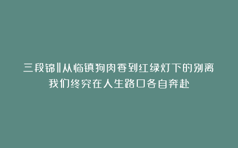 三段锦‖从临镇狗肉香到红绿灯下的别离：我们终究在人生路口各自奔赴