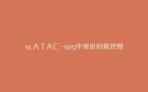 scATAC-seq中常见的质控图