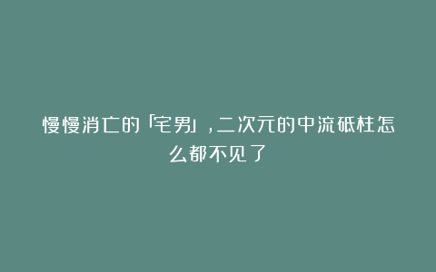 慢慢消亡的「宅男」，二次元的中流砥柱怎么都不见了？