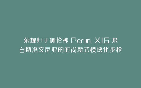 荣耀归于佩伦神:Perun X16:来自斯洛文尼亚的时尚新式模块化步枪