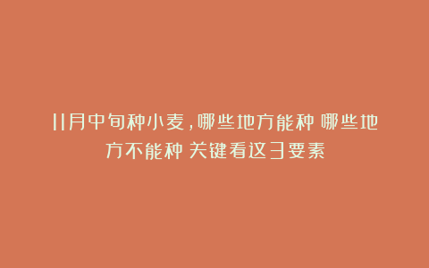 11月中旬种小麦，哪些地方能种？哪些地方不能种？关键看这3要素