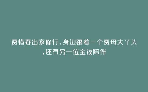 贾惜春出家修行，身边跟着一个贾母大丫头，还有另一位金钗陪伴？