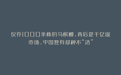 仅存1000余株的马槟榔,背后是千亿级市场,中国独有却种不“活”