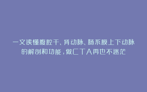 一文读懂腹腔干、肾动脉、肠系膜上下动脉的解剖和功能，做CTA再也不迷茫