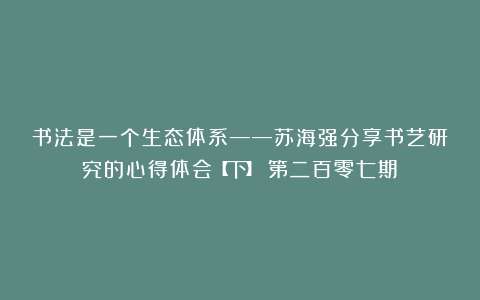 书法是一个生态体系——苏海强分享书艺研究的心得体会【下】(第二百零七期)