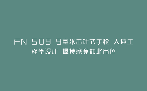 FN 509 9毫米击针式手枪 人体工程学设计 握持感竟如此出色