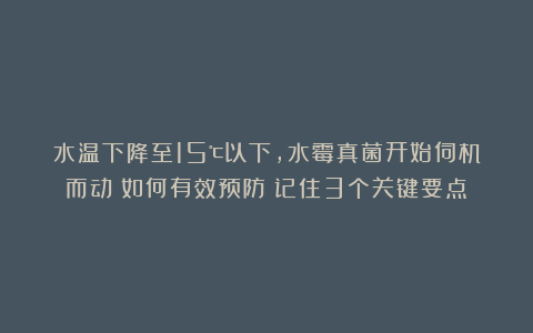 水温下降至15℃以下，水霉真菌开始伺机而动！如何有效预防？记住3个关键要点！