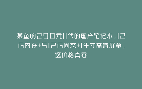 某鱼的290元11代的国产笔记本，12G内存+512G固态+14寸高清屏幕，这价格真香！