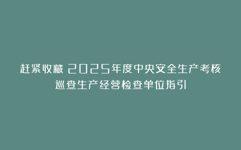 赶紧收藏：2025年度中央安全生产考核巡查生产经营检查单位指引