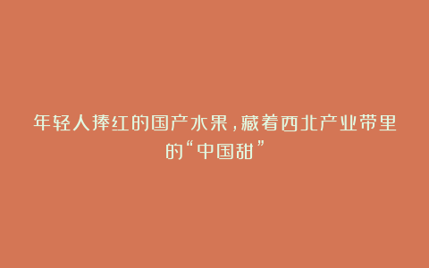 年轻人捧红的国产水果,藏着西北产业带里的“中国甜”
