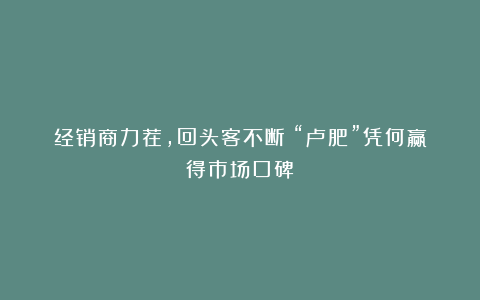 经销商力荐，回头客不断！“卢肥”凭何赢得市场口碑？