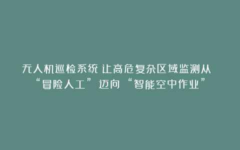 无人机巡检系统：让高危复杂区域监测从 “冒险人工” 迈向 “智能空中作业”