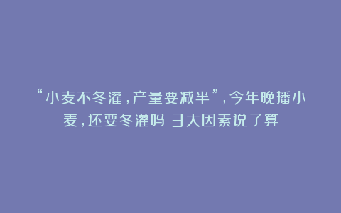 “小麦不冬灌，产量要减半”，今年晚播小麦，还要冬灌吗？3大因素说了算