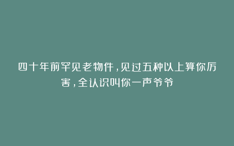 四十年前罕见老物件,见过五种以上算你厉害,全认识叫你一声爷爷