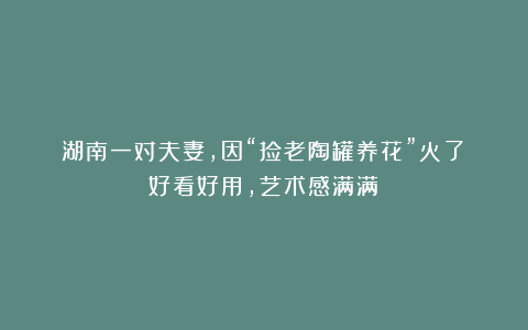 湖南一对夫妻，因“捡老陶罐养花”火了：好看好用，艺术感满满！