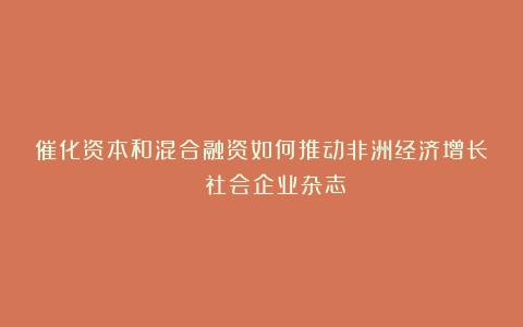 催化资本和混合融资如何推动非洲经济增长 | 社会企业杂志