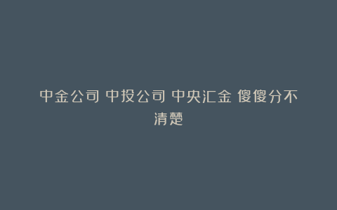 中金公司？中投公司？中央汇金？傻傻分不清楚
