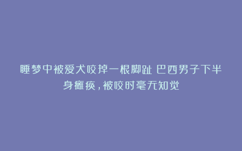 睡梦中被爱犬咬掉一根脚趾!巴西男子下半身瘫痪,被咬时毫无知觉