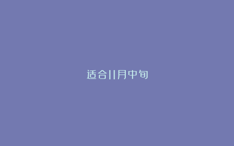 适合11月中旬