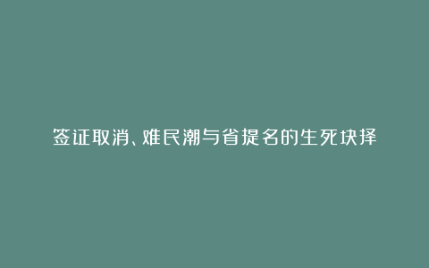 签证取消、难民潮与省提名的生死抉择