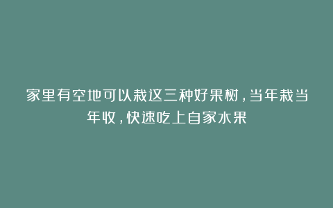 家里有空地可以栽这三种好果树，当年栽当年收，快速吃上自家水果