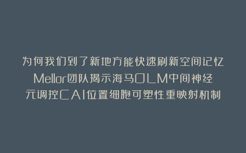 为何我们到了新地方能快速刷新空间记忆？Mellor团队揭示海马OLM中间神经元调控CA1位置细胞可塑性重映射机制