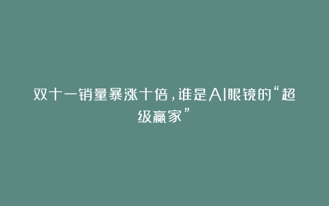 双十一销量暴涨十倍，谁是AI眼镜的“超级赢家”？