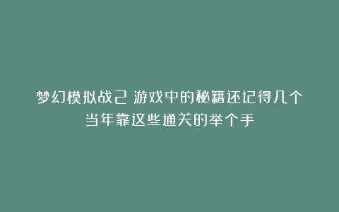 梦幻模拟战2：游戏中的秘籍还记得几个？当年靠这些通关的举个手