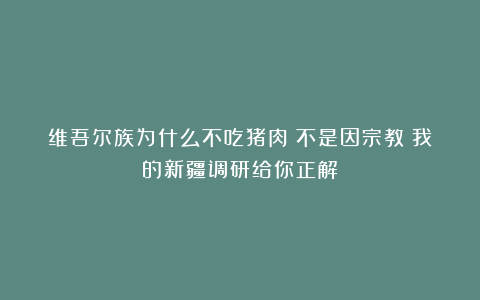 维吾尔族为什么不吃猪肉？不是因宗教！我的新疆调研给你正解