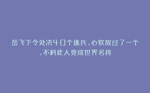 岳飞下令处决40个逃兵，心软放过了一个，不料此人竟成世界名将