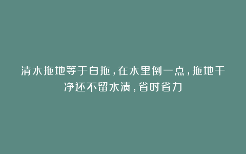 清水拖地等于白拖，在水里倒一点，拖地干净还不留水渍，省时省力